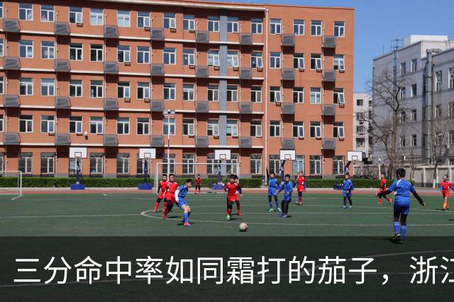 三分命中率如同霜打的茄子，浙江男篮逆袭背后的骄傲时刻
