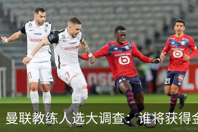 曼联教练人选大调查：谁将获得金牌教鞭？